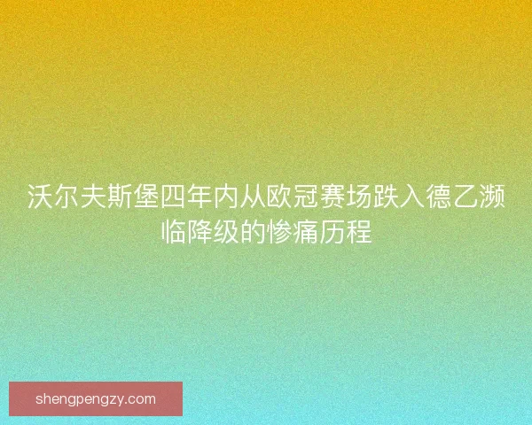 沃尔夫斯堡四年内从欧冠赛场跌入德乙濒临降级的惨痛历程